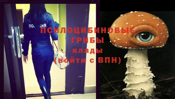 экстази Богородицк